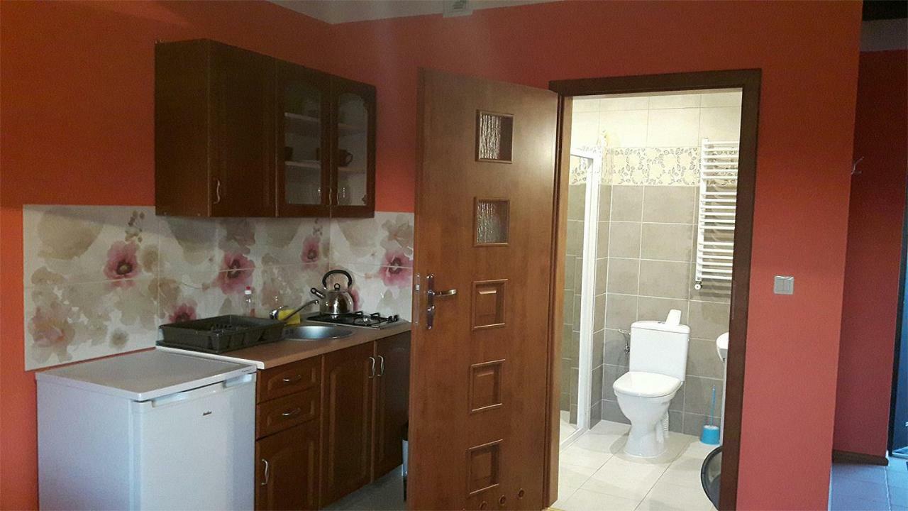 Apartamenty "Anusia" Ledzin Εξωτερικό φωτογραφία
