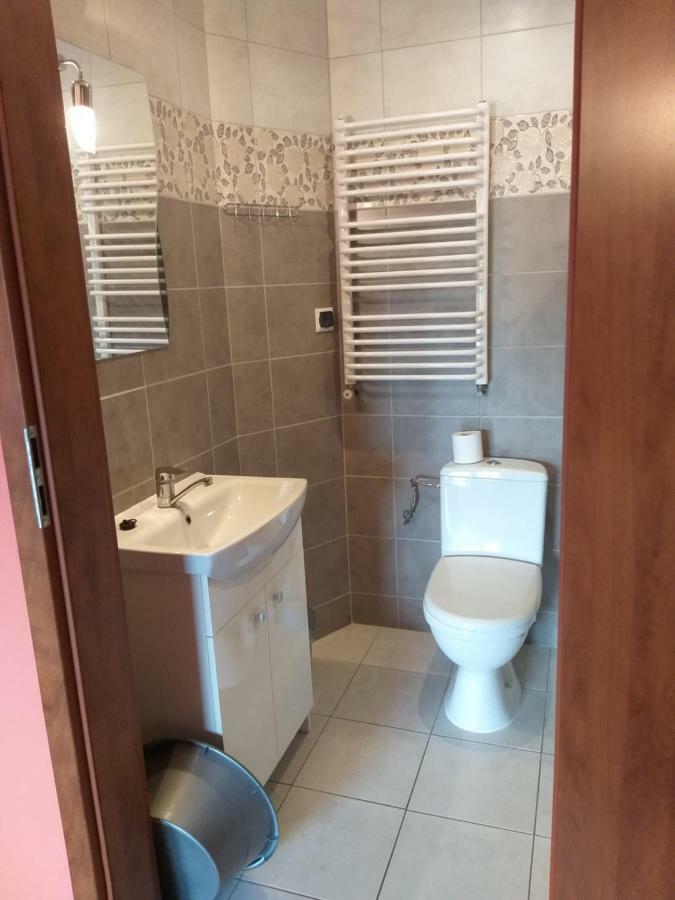 Apartamenty "Anusia" Ledzin Εξωτερικό φωτογραφία