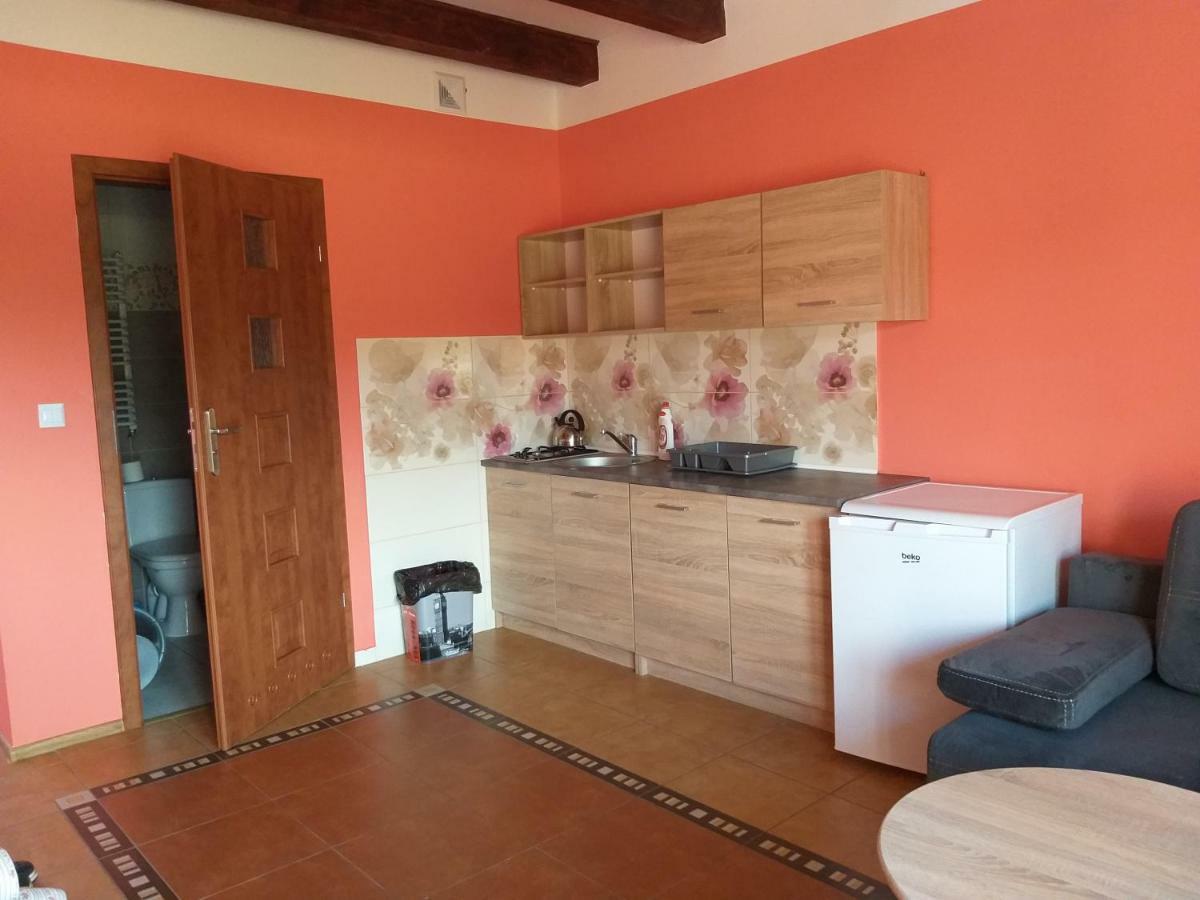 Apartamenty "Anusia" Ledzin Εξωτερικό φωτογραφία